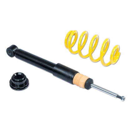 Single black strut and yellow lowering spring